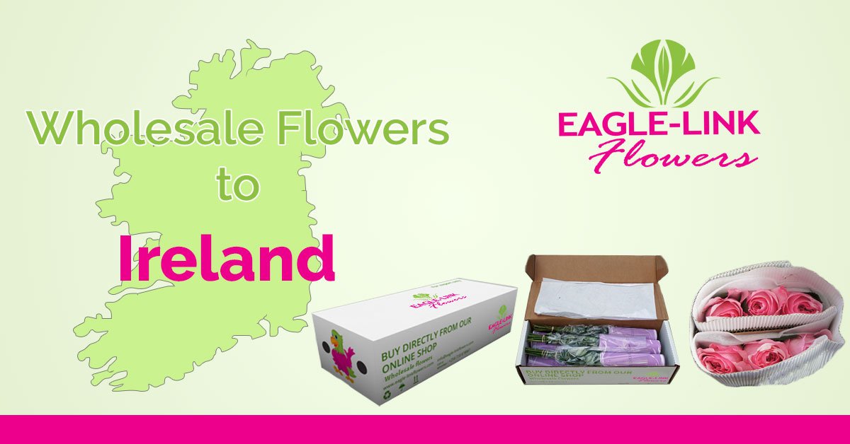 Wholesale Flowers to Ireland EagleLink Flowers