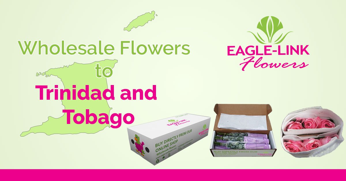 Wholesale Flowers to Trinidad and Tobago EagleLink Flowers